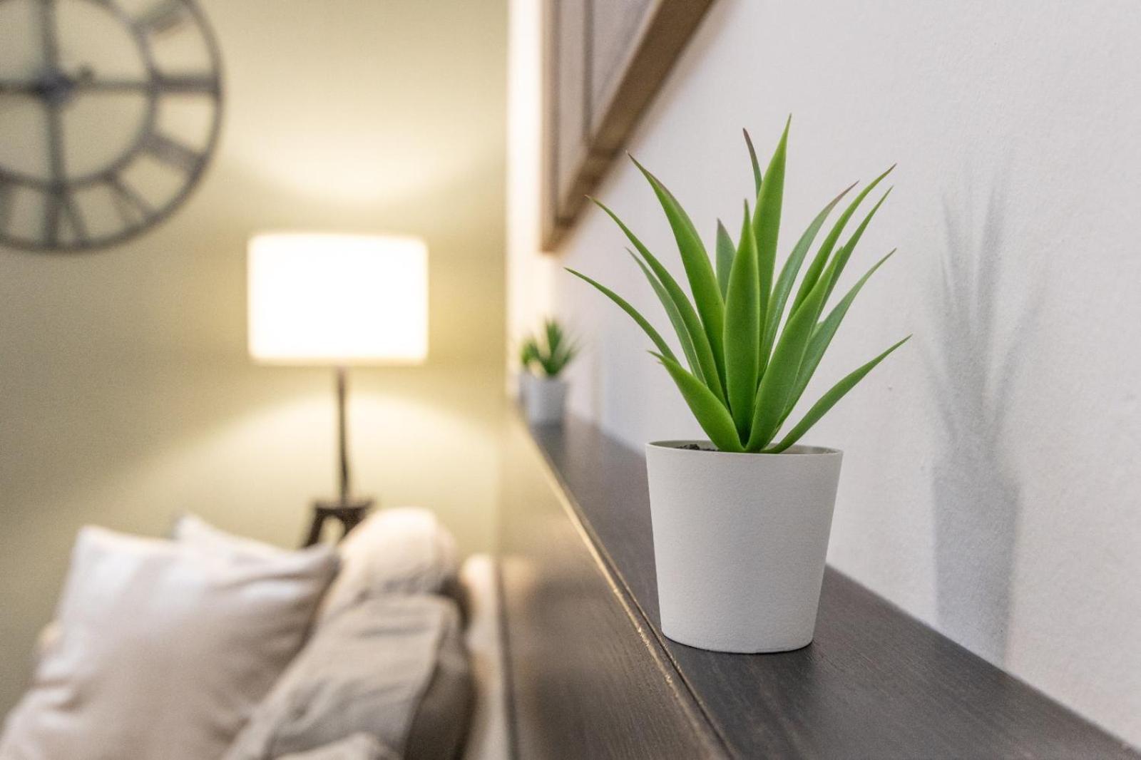 Mariposa Apartment 利沃诺 外观 照片